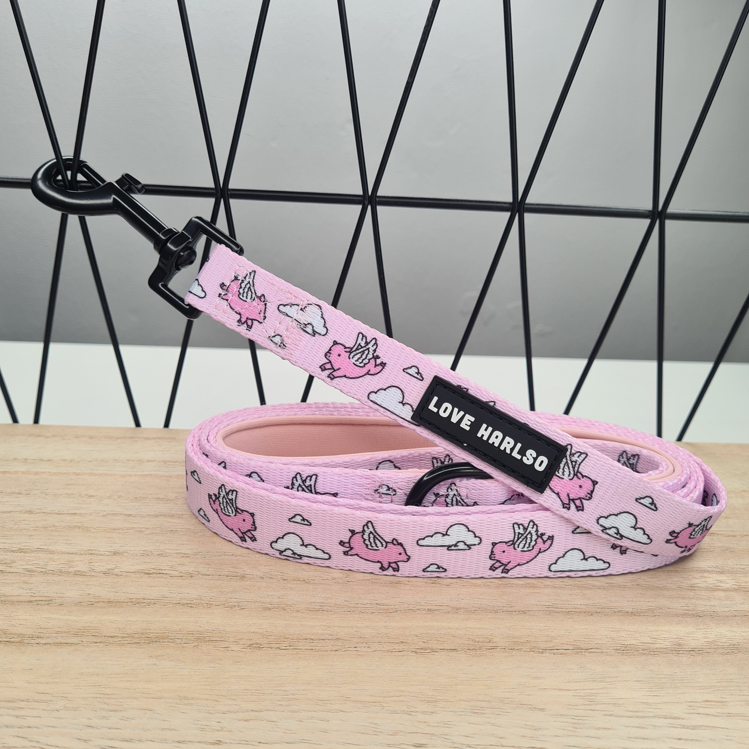 dog lead pink flying pigs