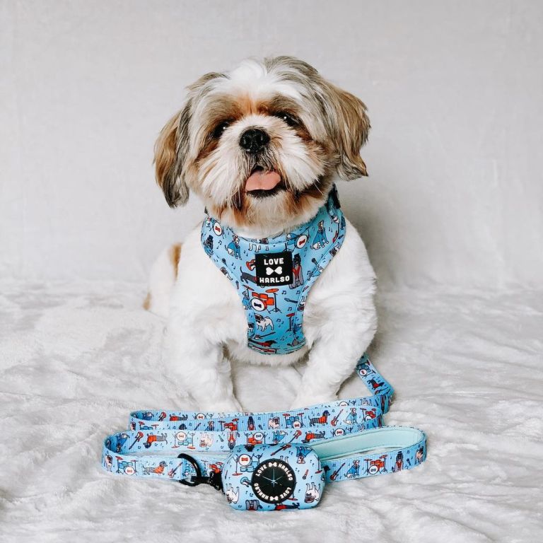 Dog Harnesses Types & Sizing Tips Love Harlso