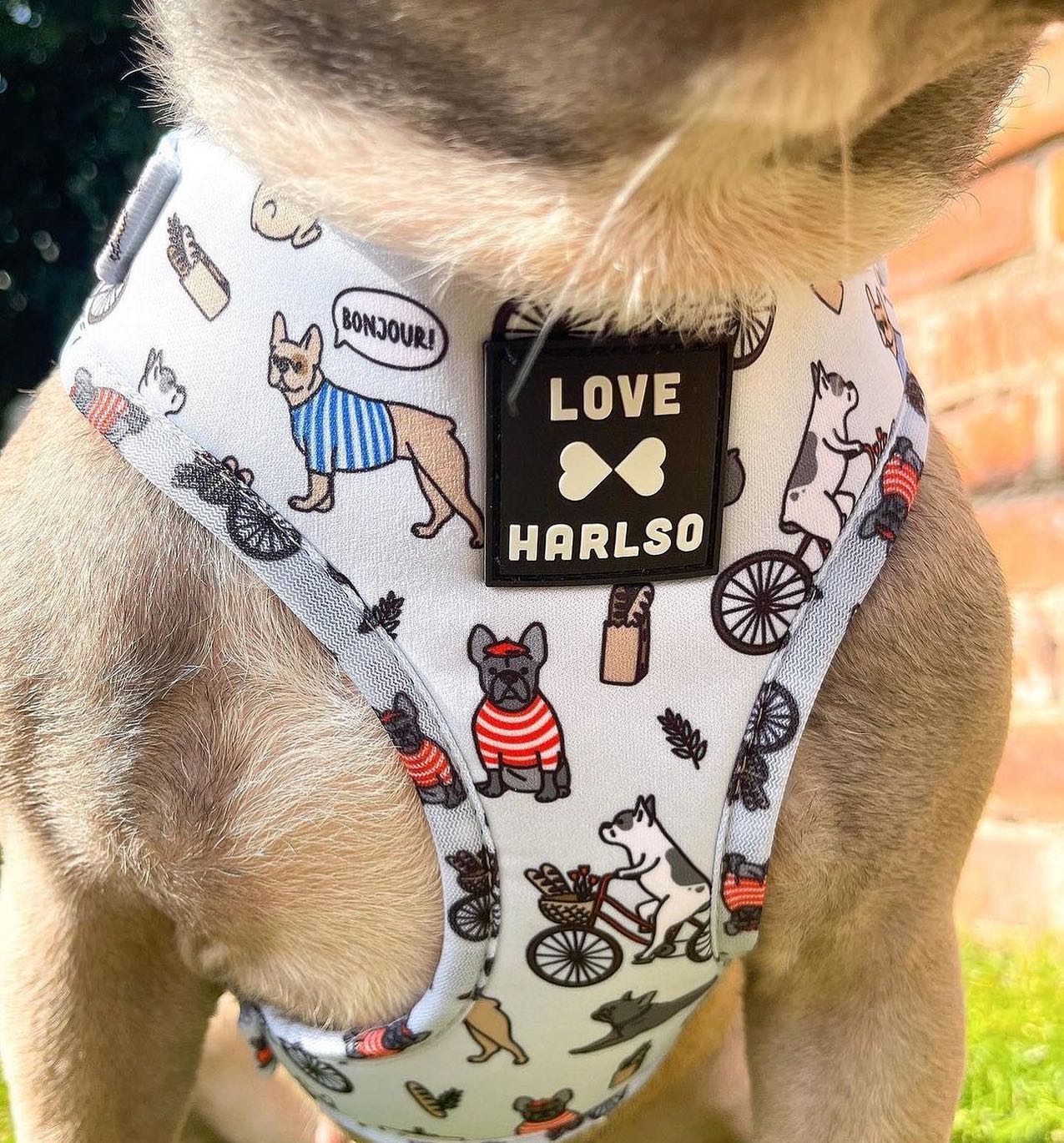 Excuse My French close up